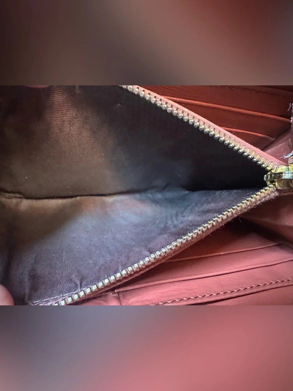 Miu Miu miu brown
